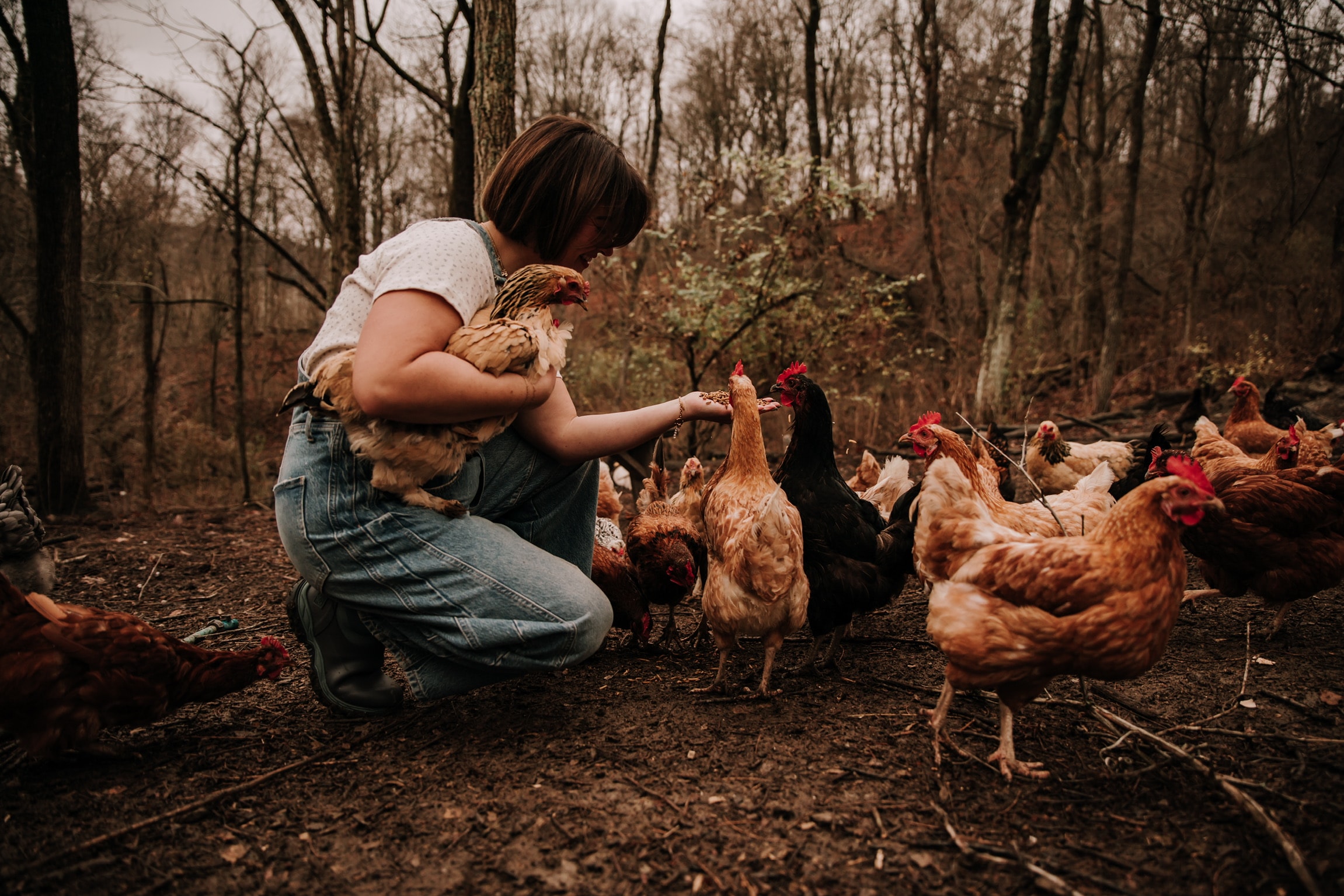 Feeding chickens in a backyard setting.